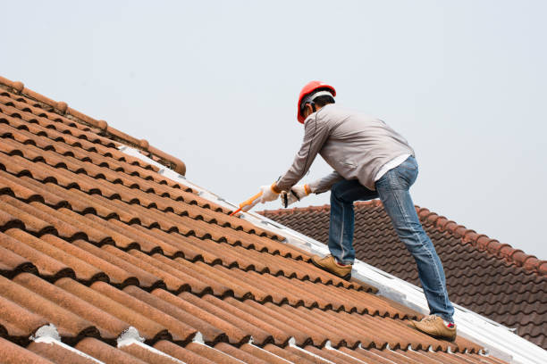Best Roof Maintenance and Cleaning  in Gallatin, TN